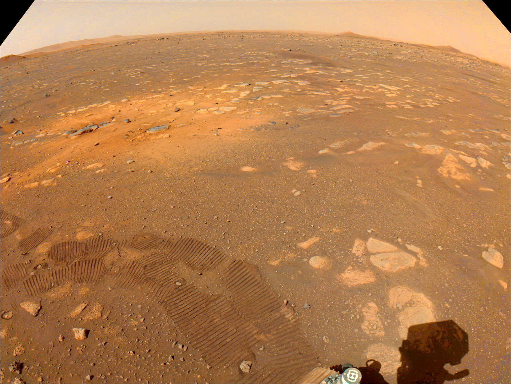 PIA24488_NLF_0014_0668192052_178CPG_N0030110NCAM03014_0A0195J01-stretched.png